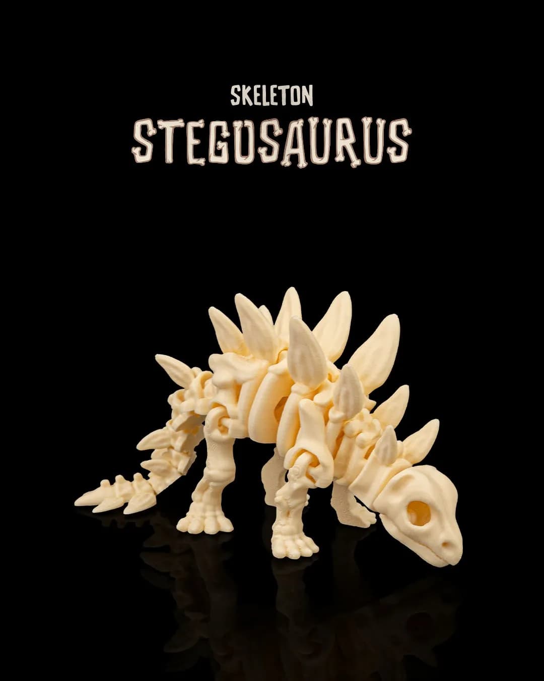 Skeleton Estegossauro